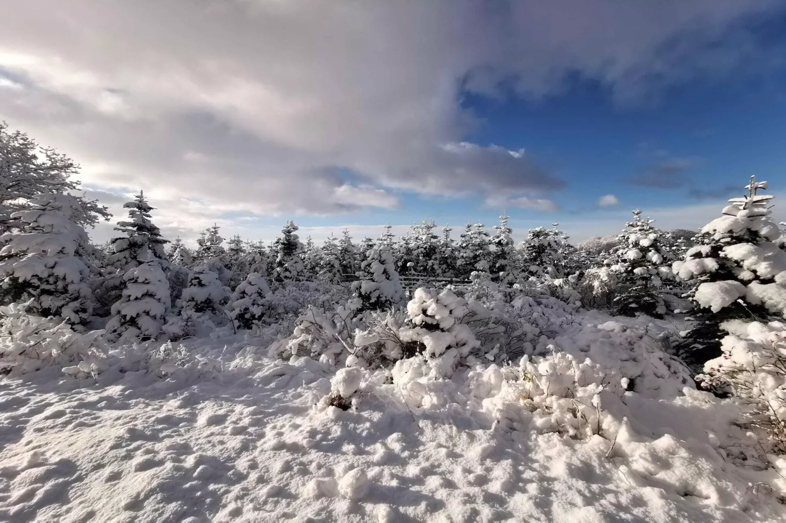 5 star holiday home in Hadsund-Outdoor