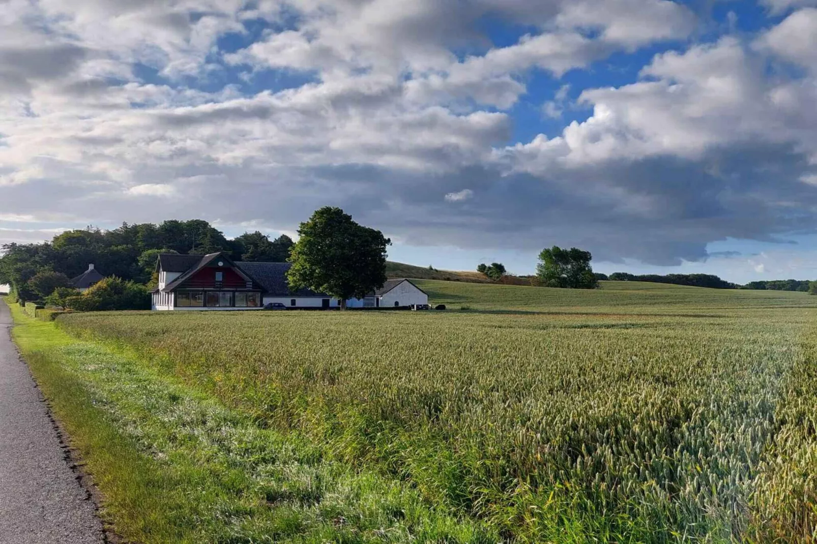 5 Sterne Ferienhaus in Bagenkop-Aussicht