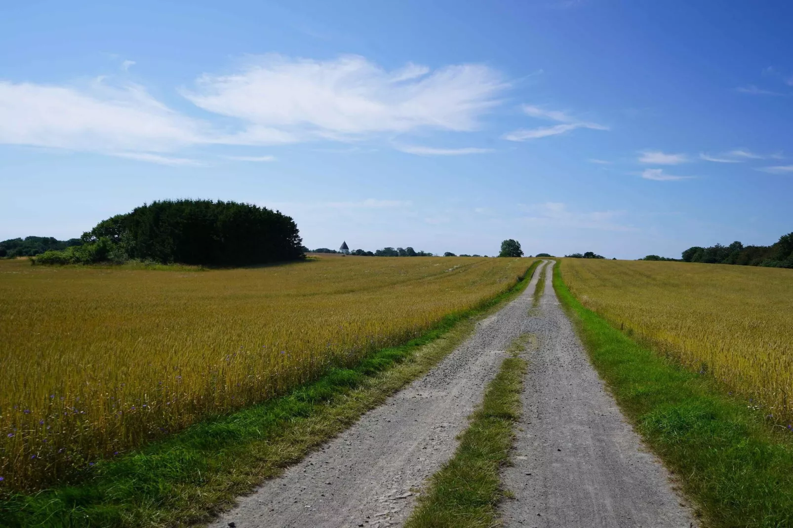 5 star holiday home in Allinge-Outdoor