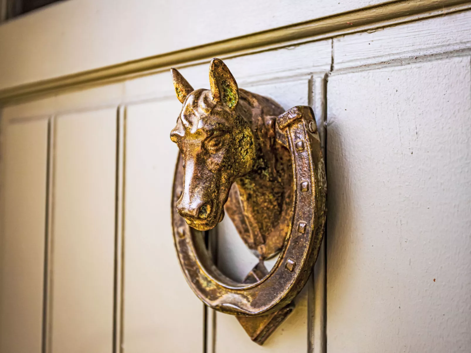 Les Jonquilles-Draußen