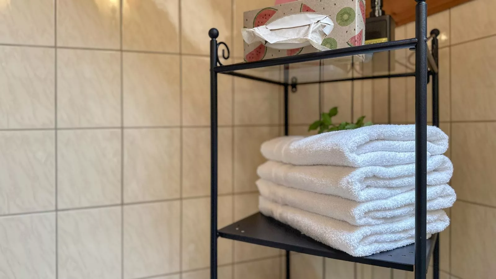 Weiherblasch II-Bathroom