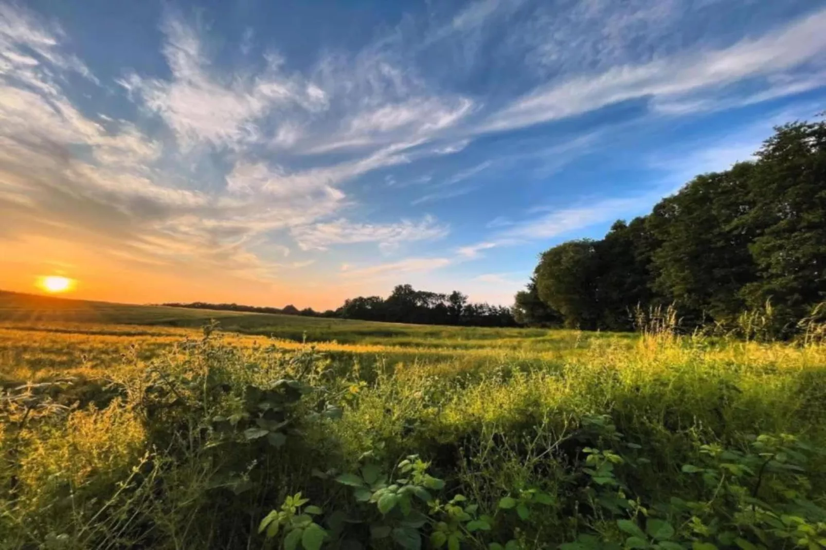 Hausboot in Ribnitz-Damgarten-Areas within 20km in summer