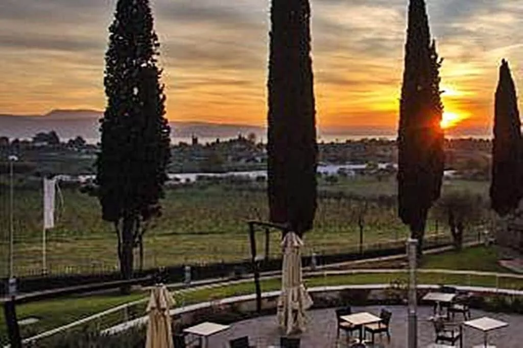 490742-Nicht zugeordnet