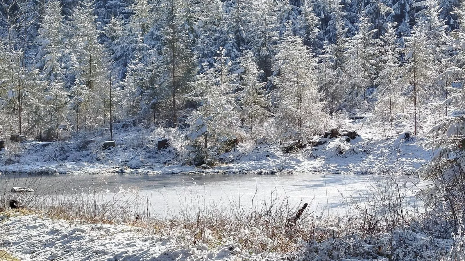 Am Sonnenblick-Area within 5km in winter