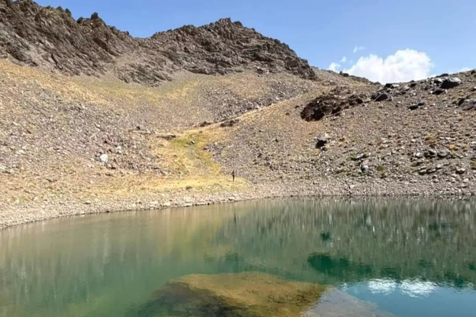 1468-Montebajo-Areas within 5km in summer