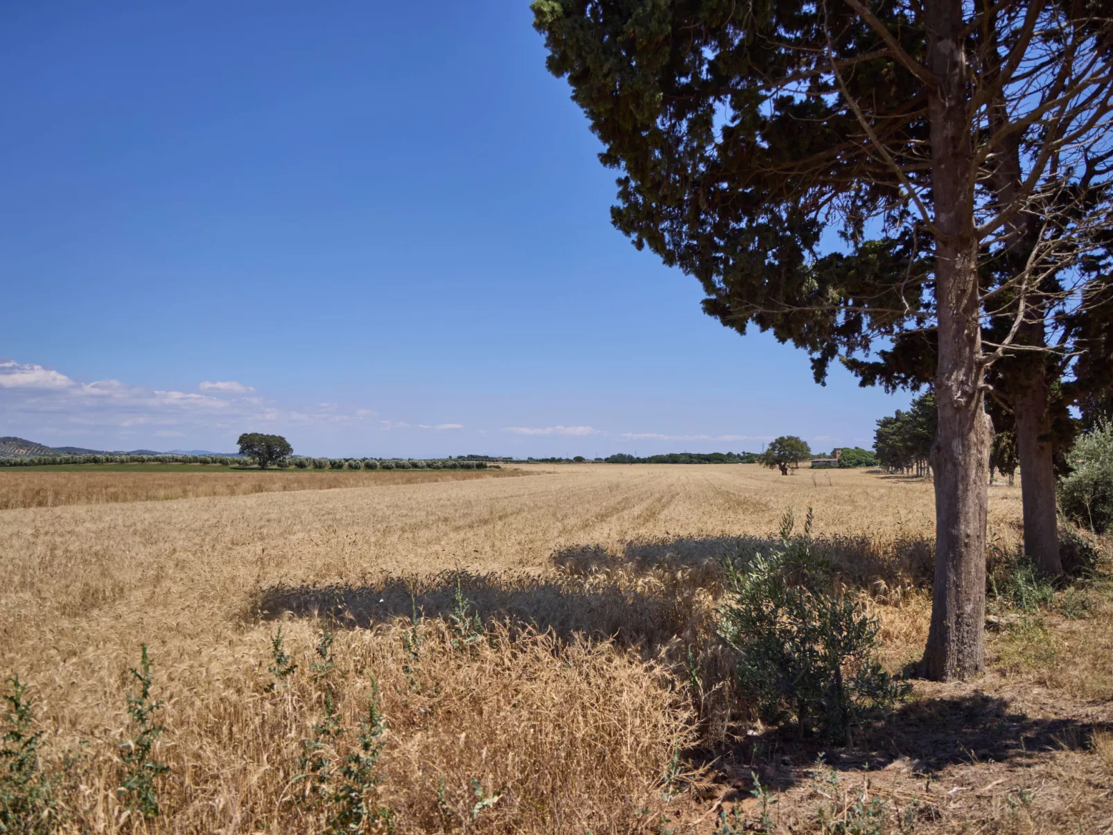 Costa D'Argento-Outside