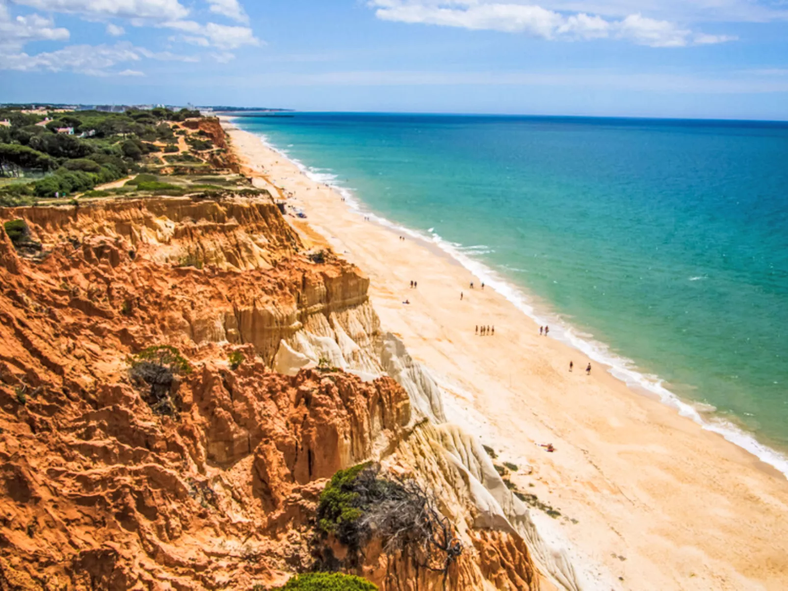 Medusa - Sunny Way-Outside