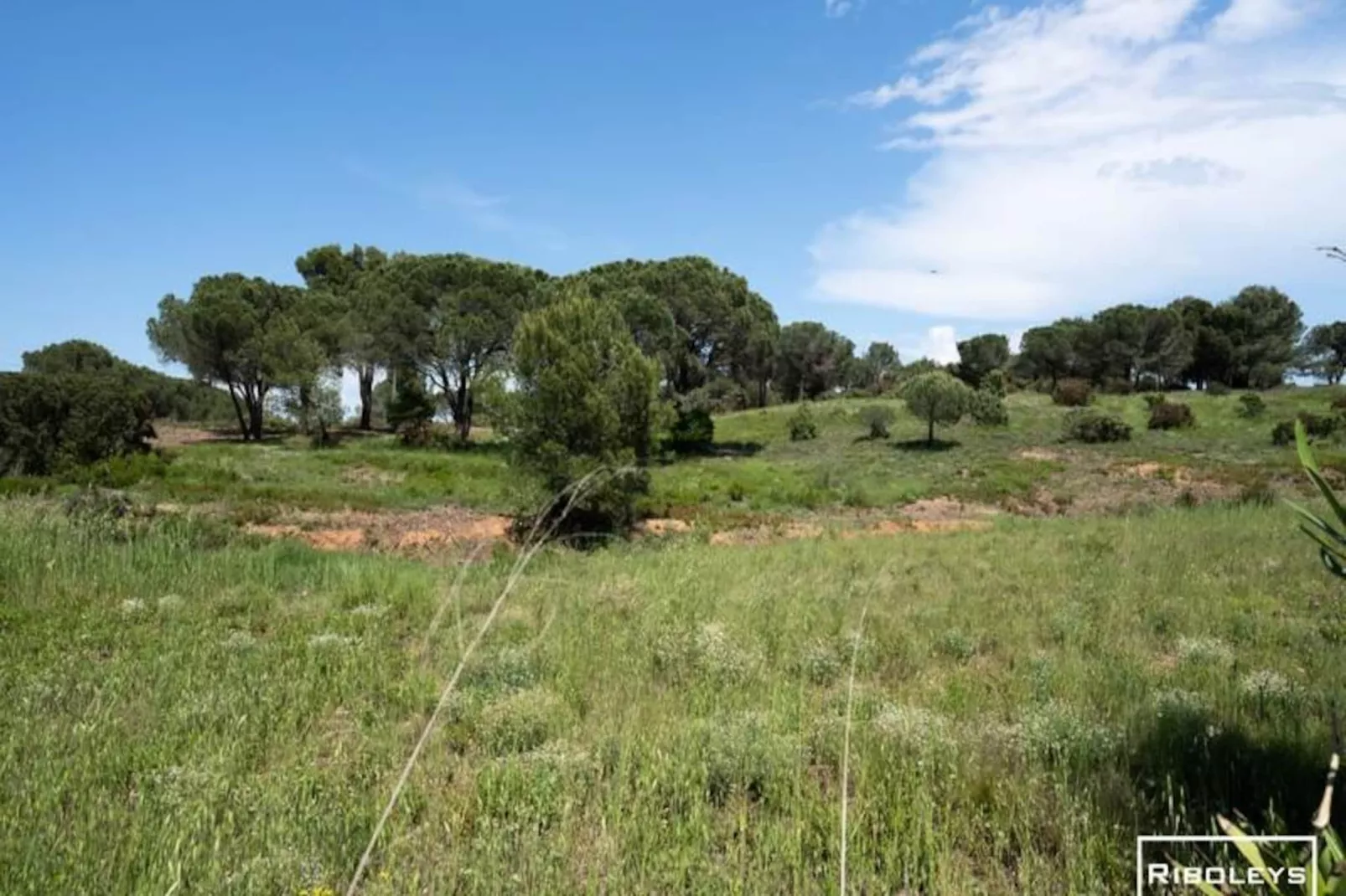 Spacieuse Villa Au C&oelig;ur Du Golf De B&eacute;ziers-Untagged