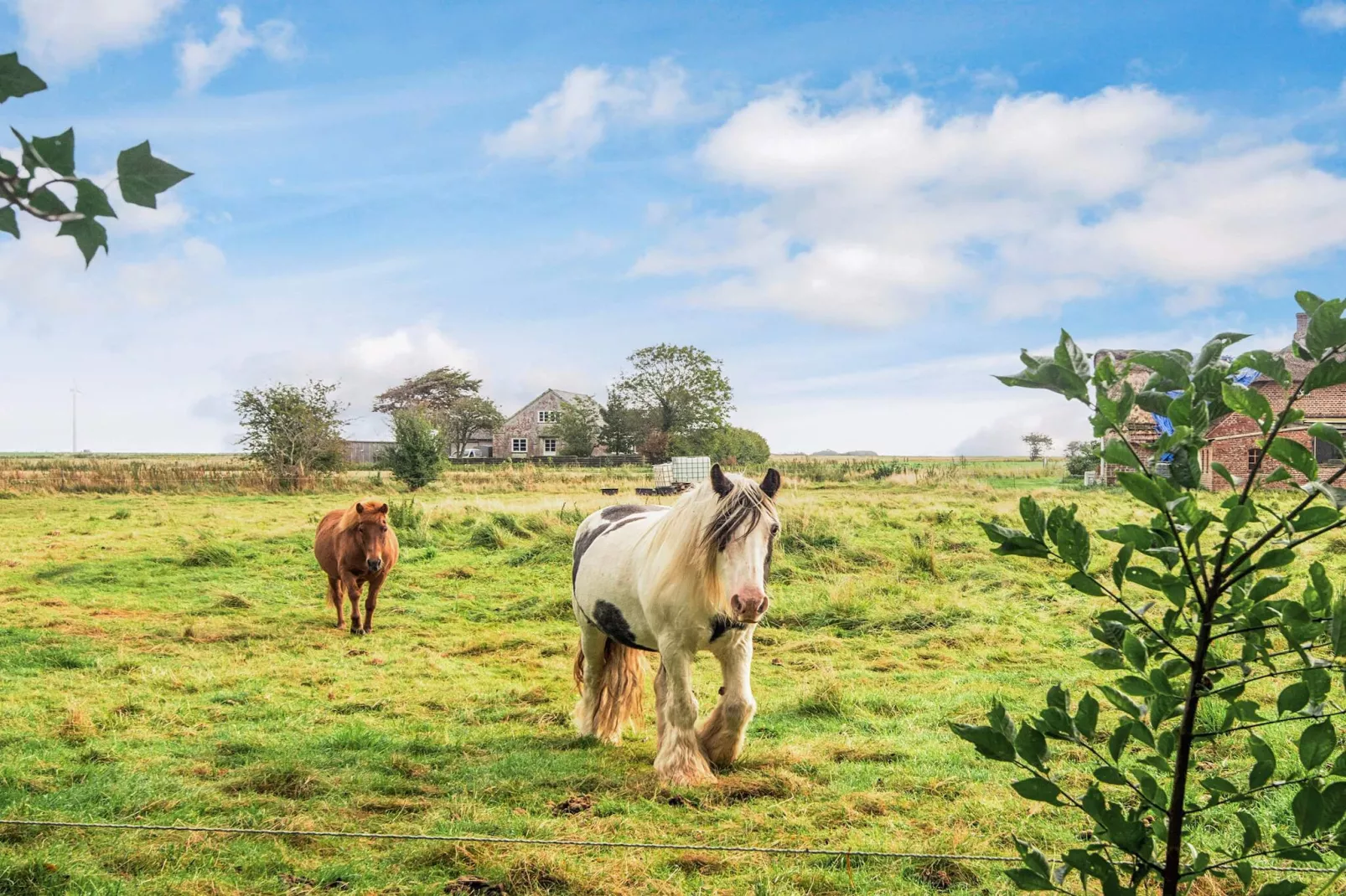 Maison de vacances pour 4 a Tønder-Vue