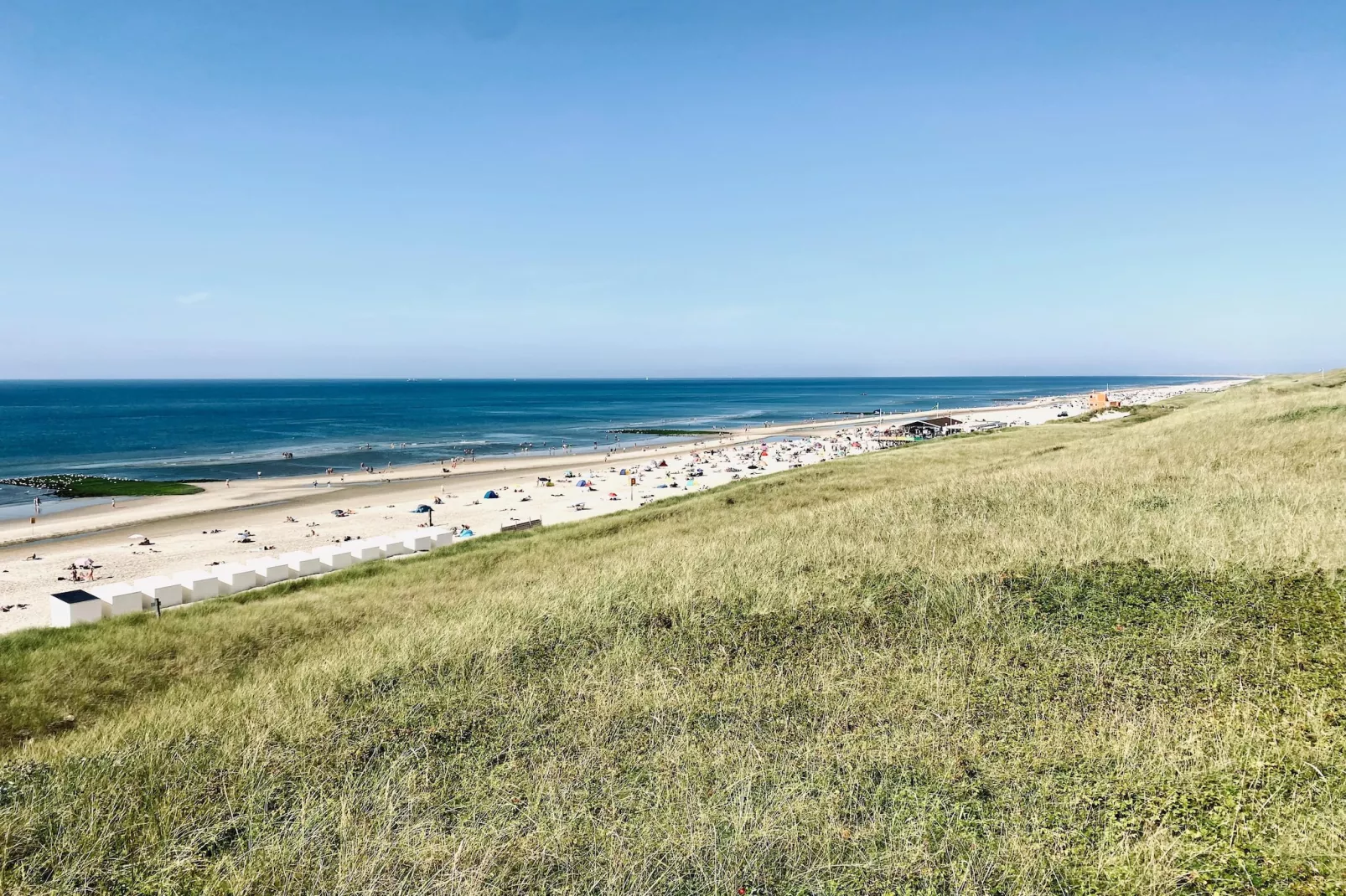 INFINITY-Areas within 5km in summer