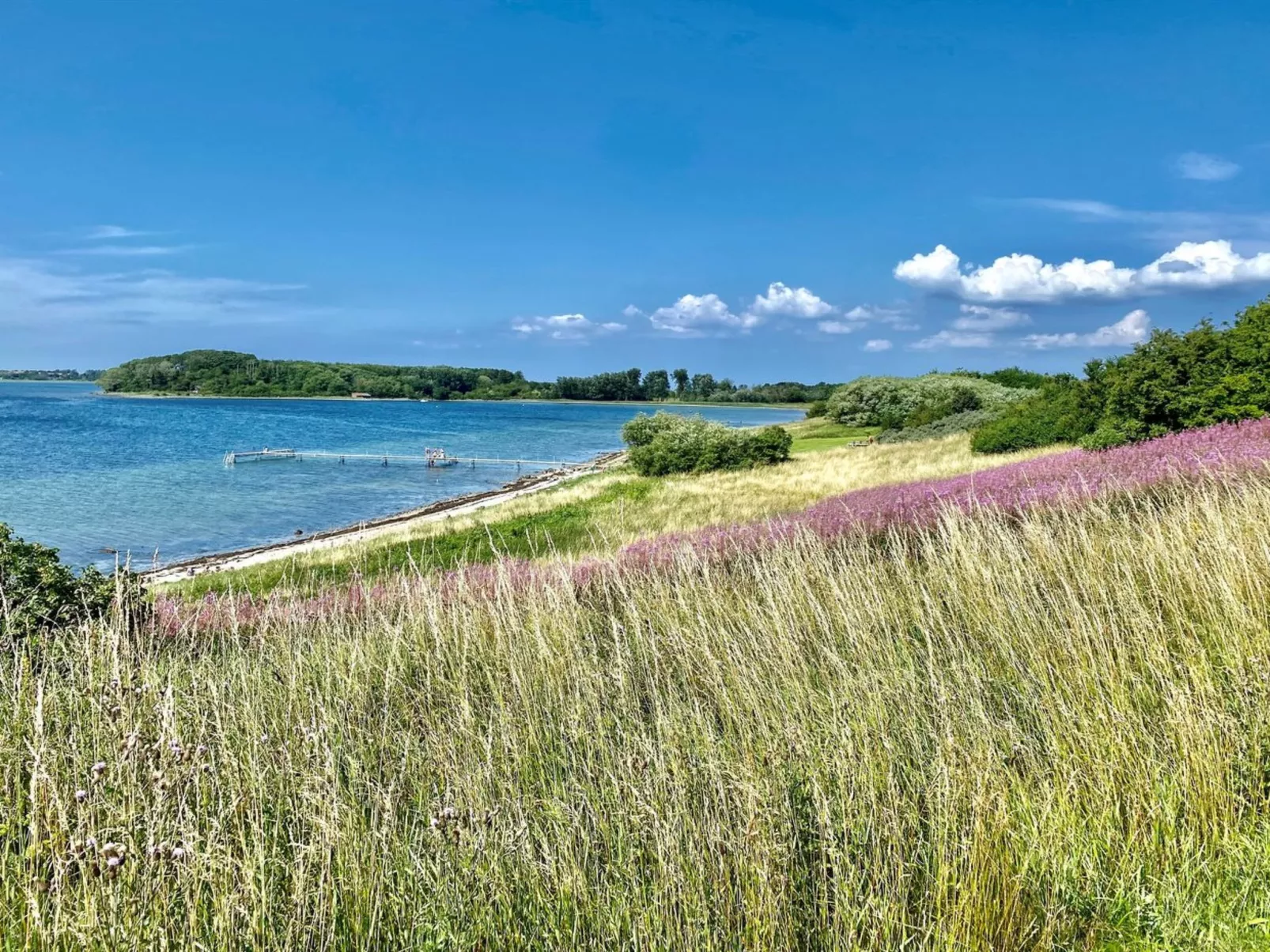 "Iadrik" - 85m to the fjord-Draußen