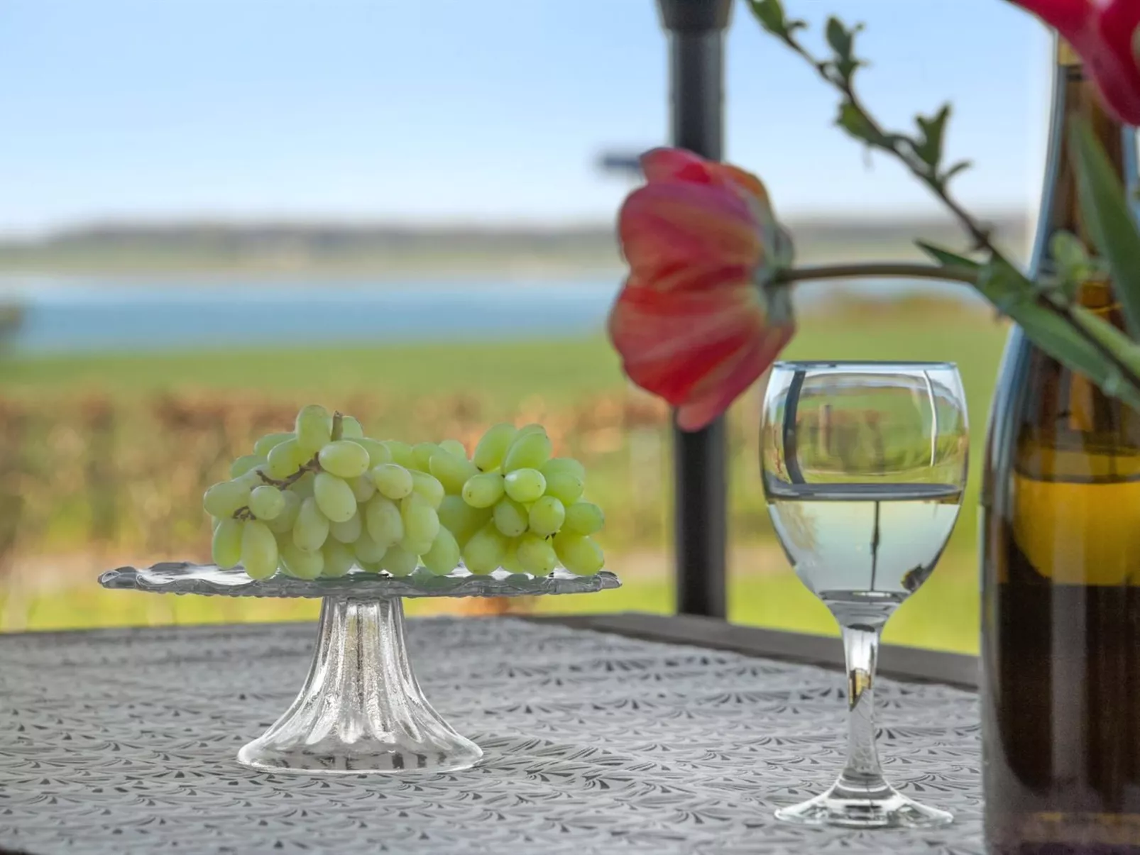 "Ermelinda" - 900m to the fjord-Draußen