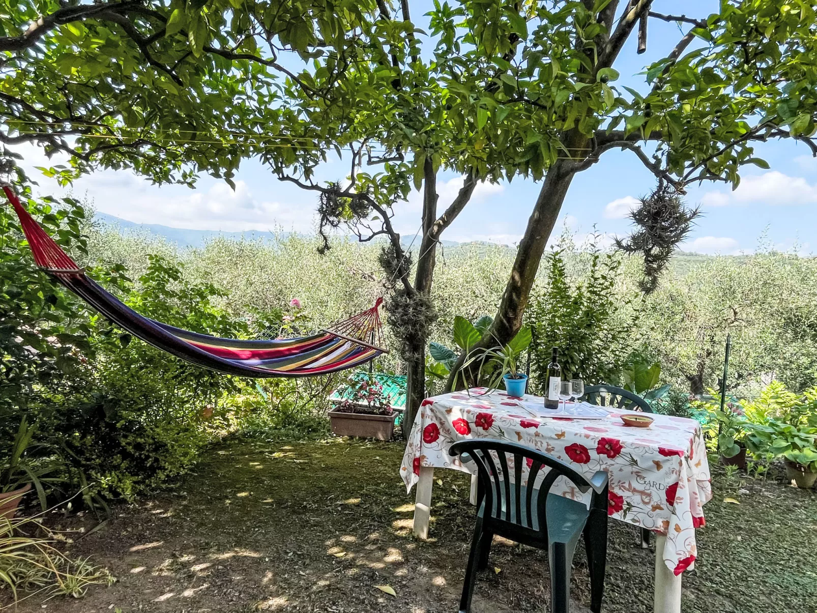 Elisa (DOL127)-Dehors