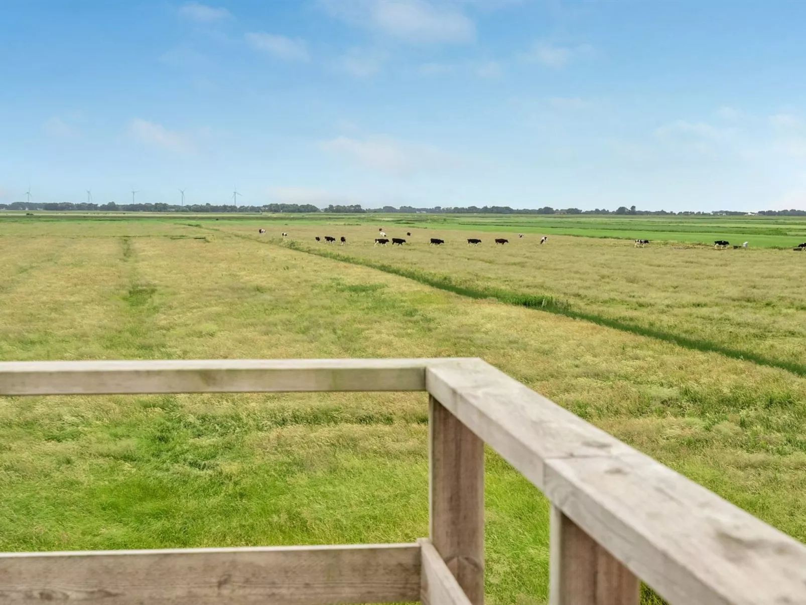 "Ammy" - 7.5km from the sea-Draußen