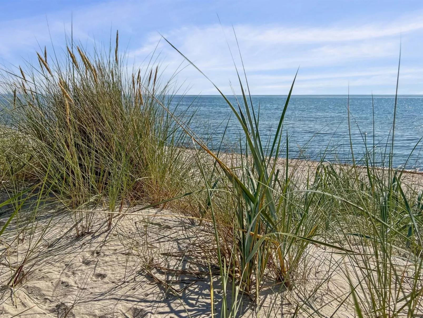 "Reinke" - 450m from the sea-Draußen