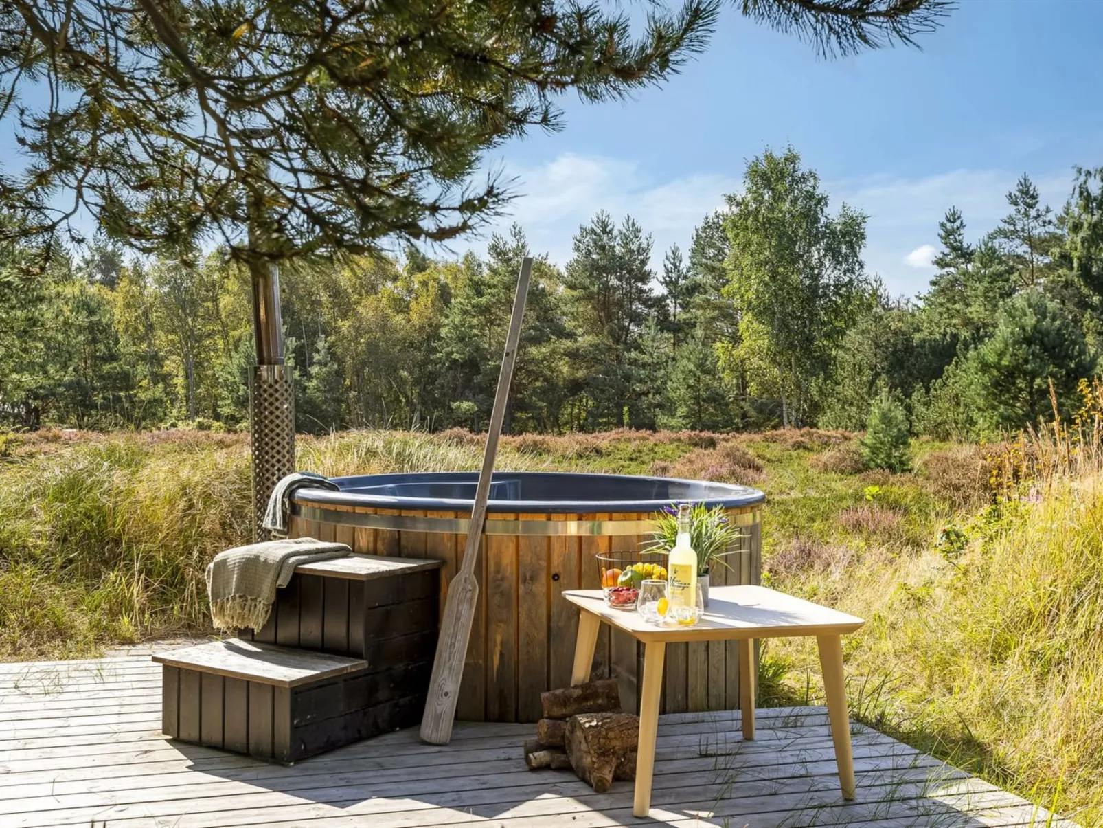 "Dagny" - 520m from the sea-Inside