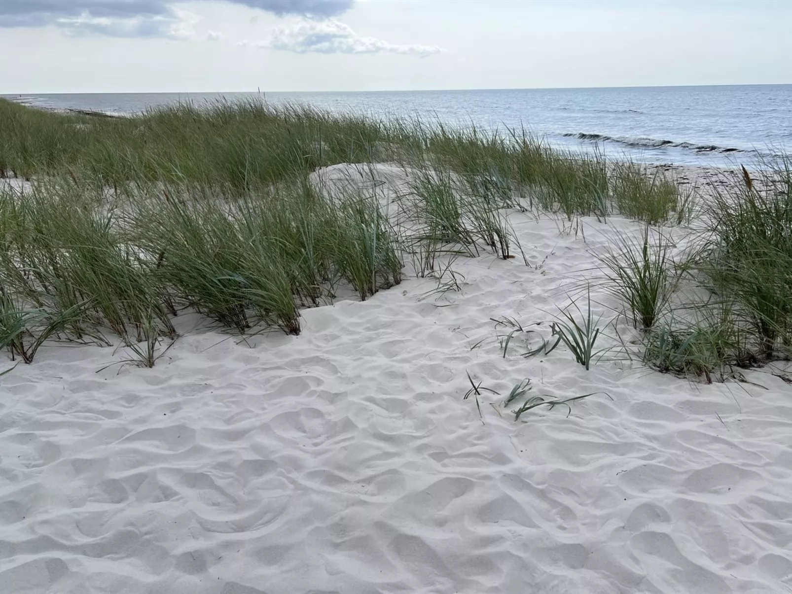 "Sonya" - 350m from the sea-Dehors