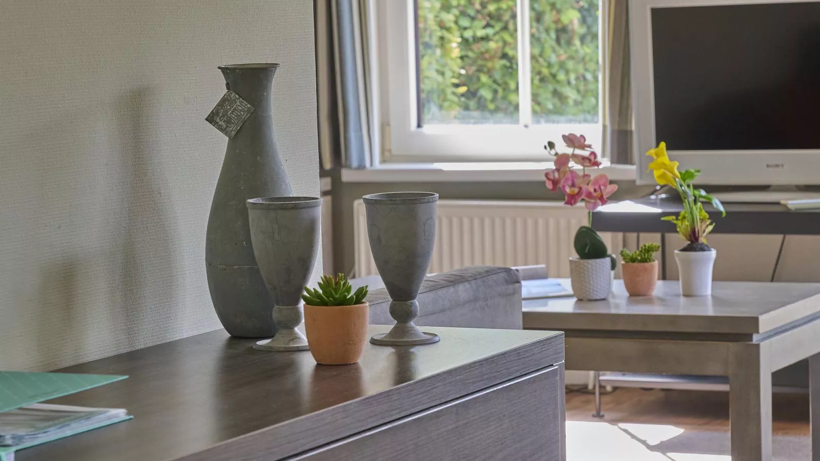 Heidepracht-Ambiance