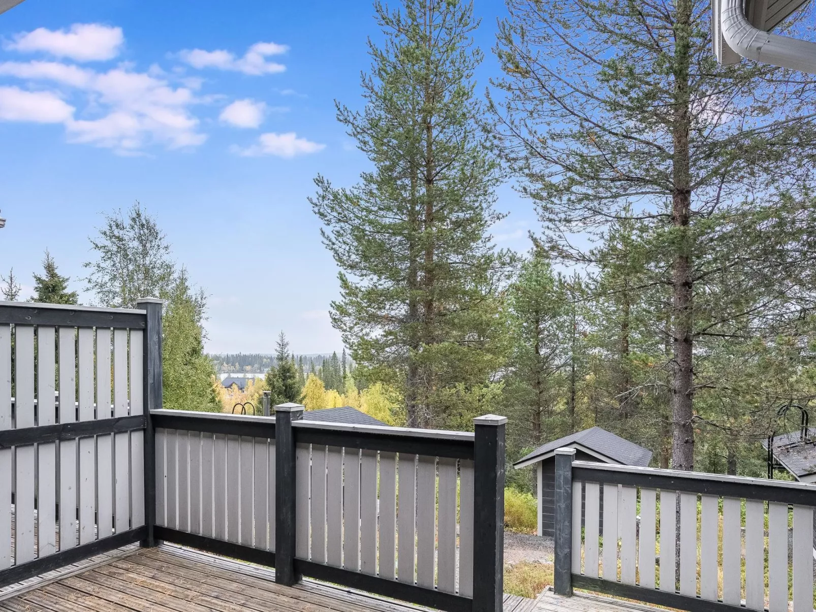 Rukanloisto b-Inside