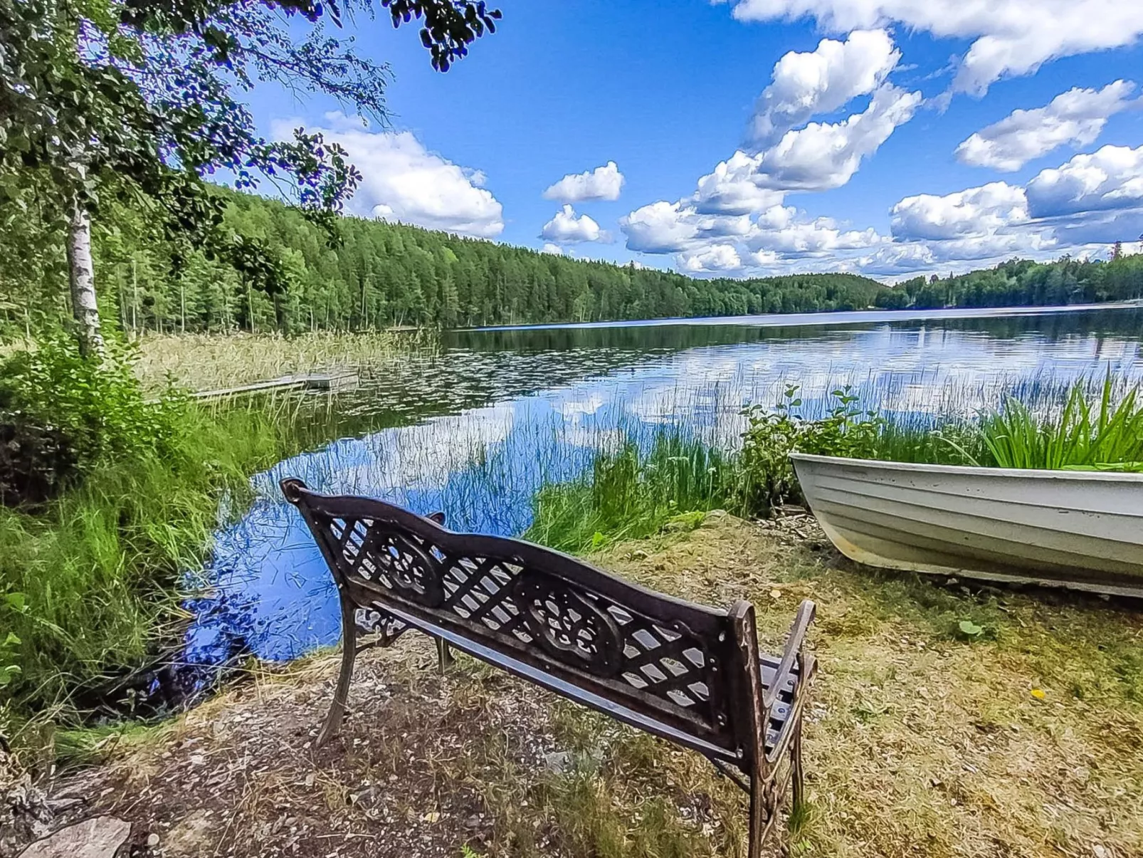 Villa ahomoisio-Drinnen