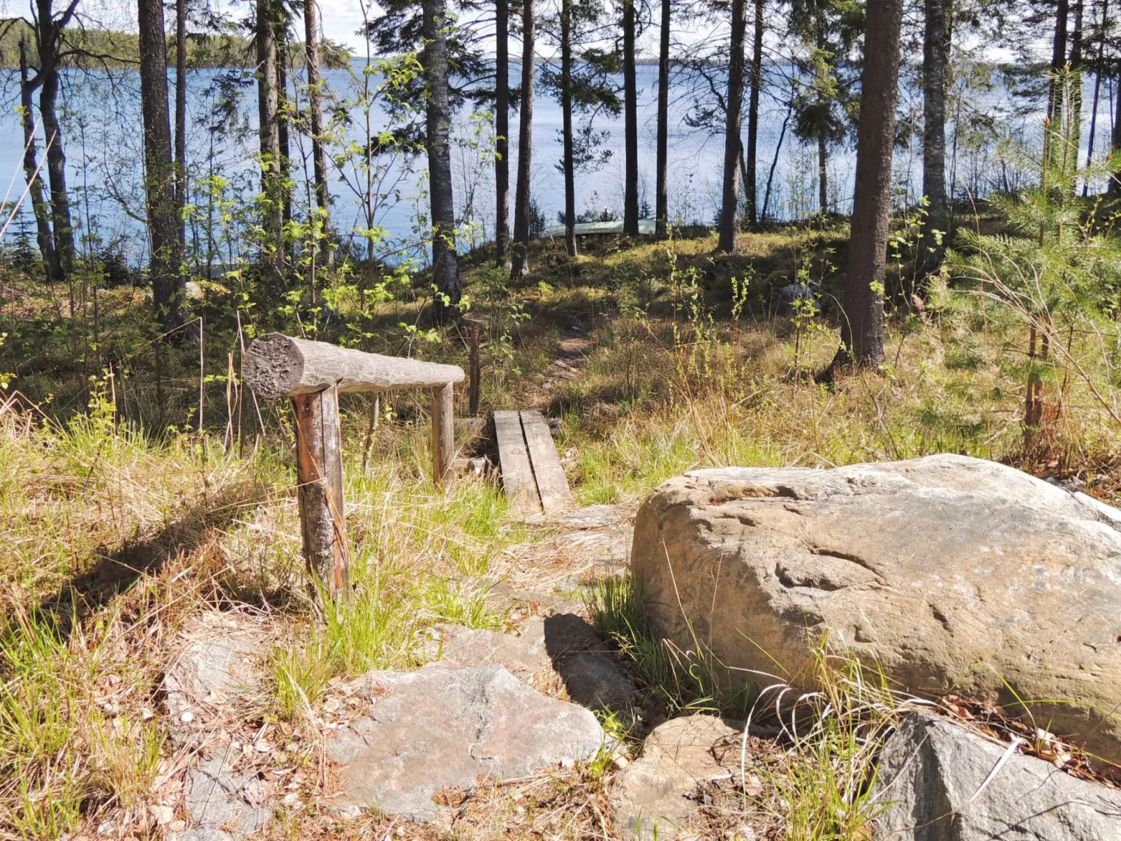 Amero purnu 2-Dedans