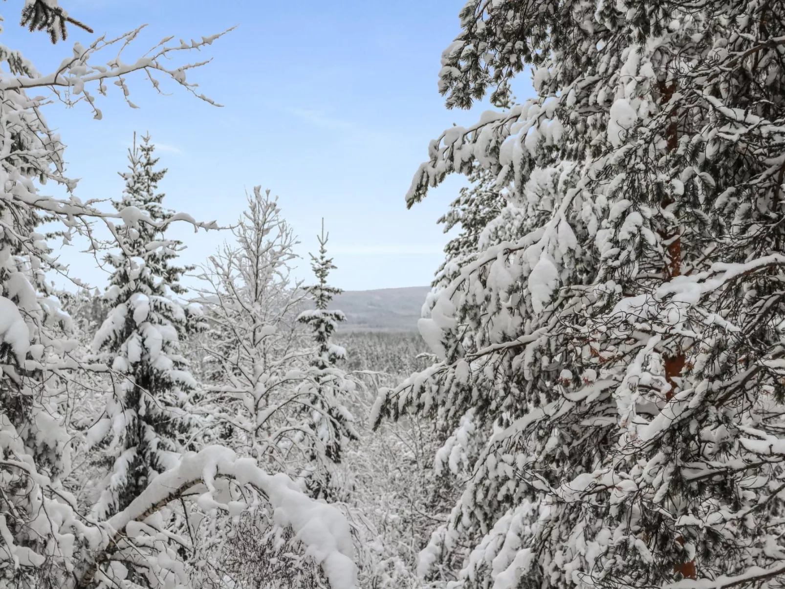 Hyrynpirtti mökki-Dedans