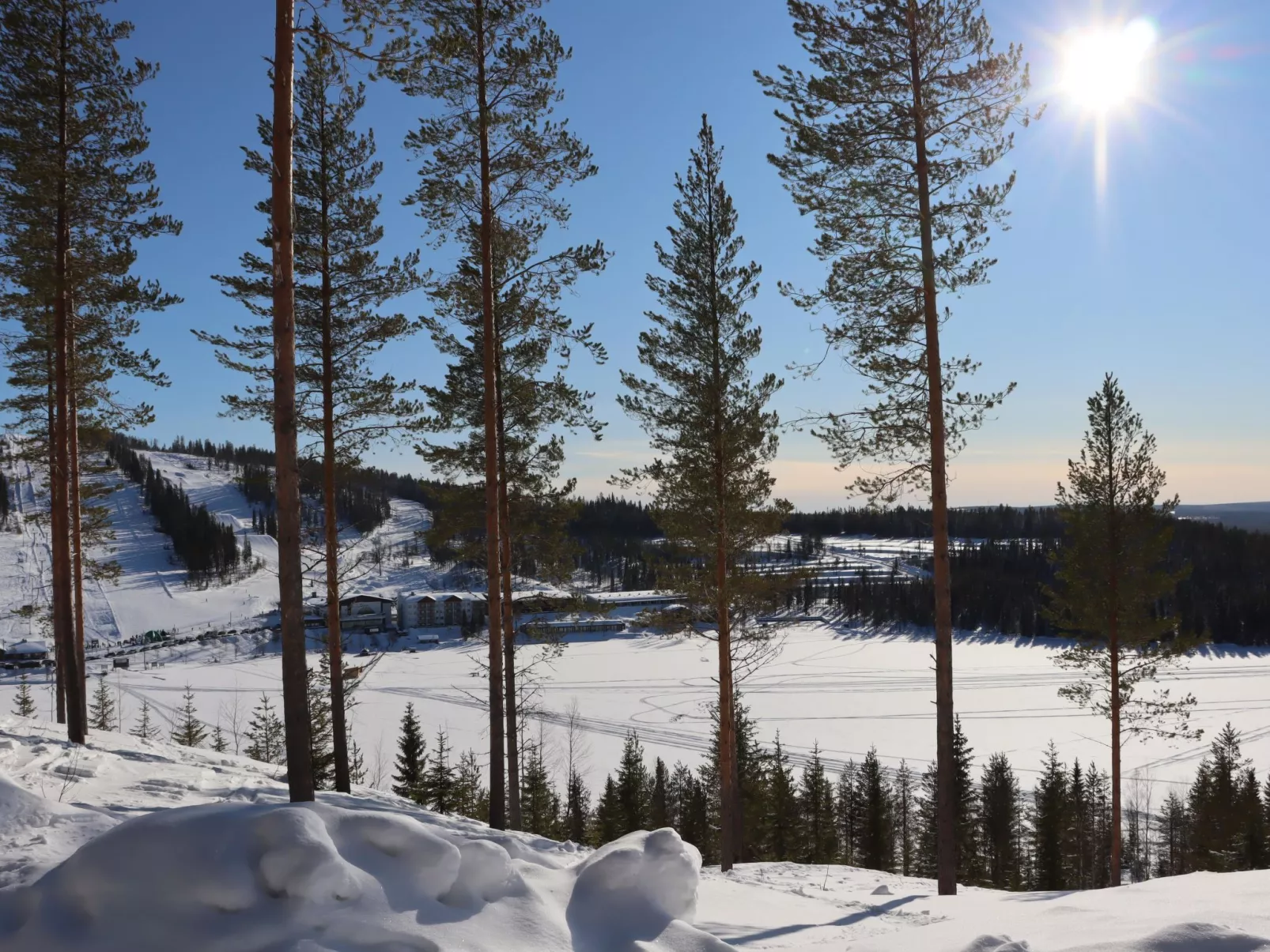 Pieni kiiruna-Inside