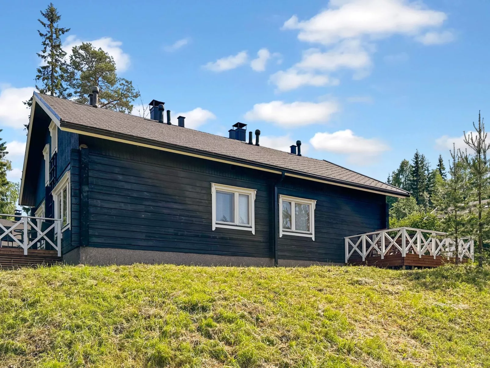 Vuokatin wassu-Dedans