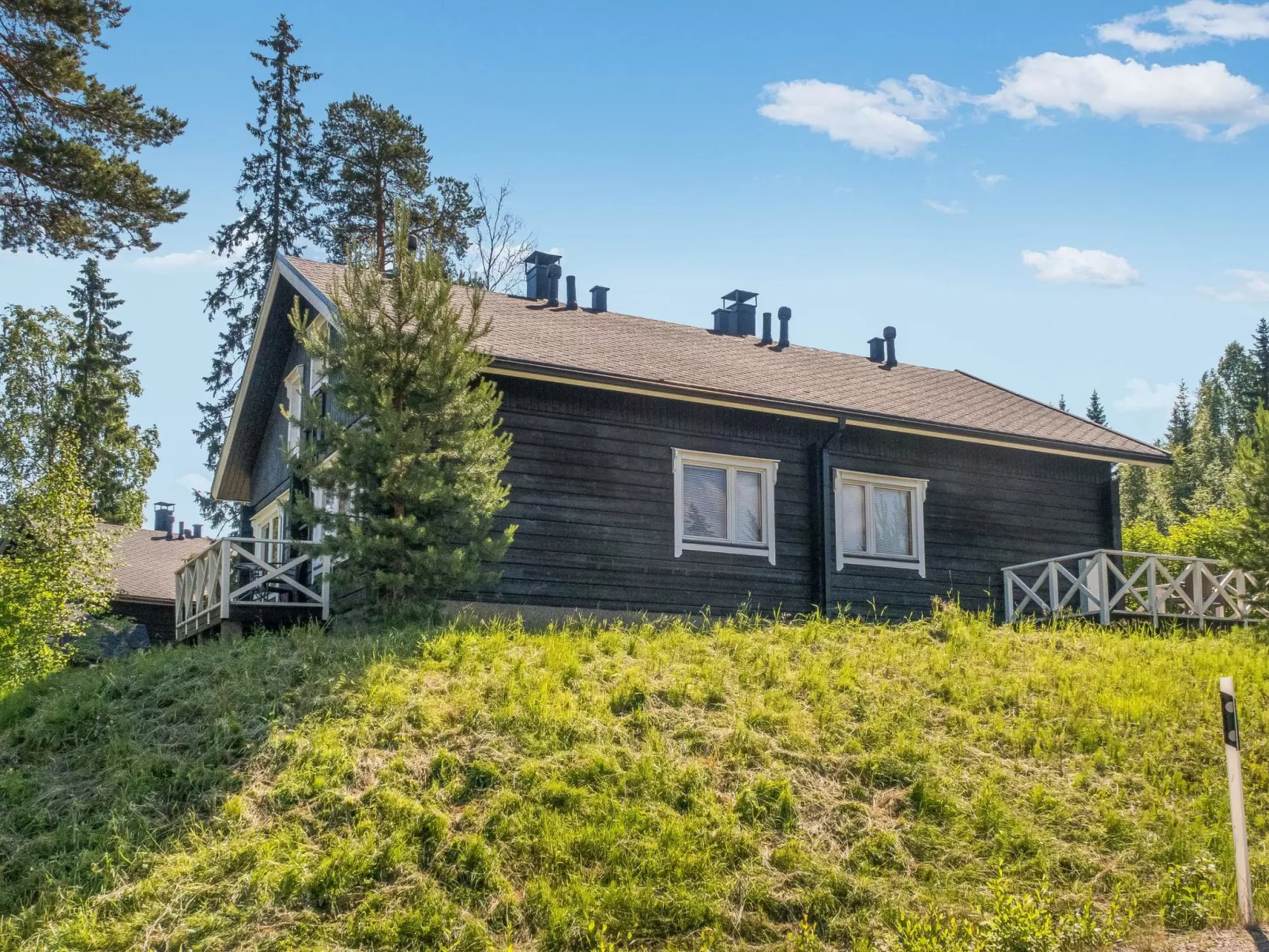 Vuokatin molle-Dedans