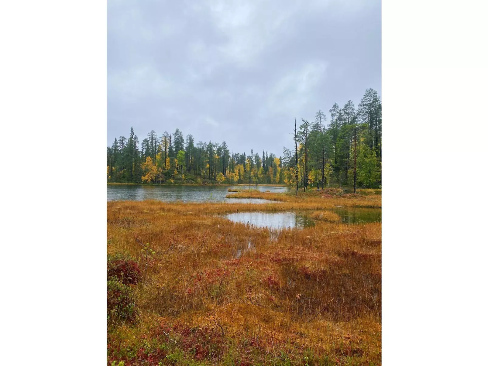 Sallan lumous a-Dedans