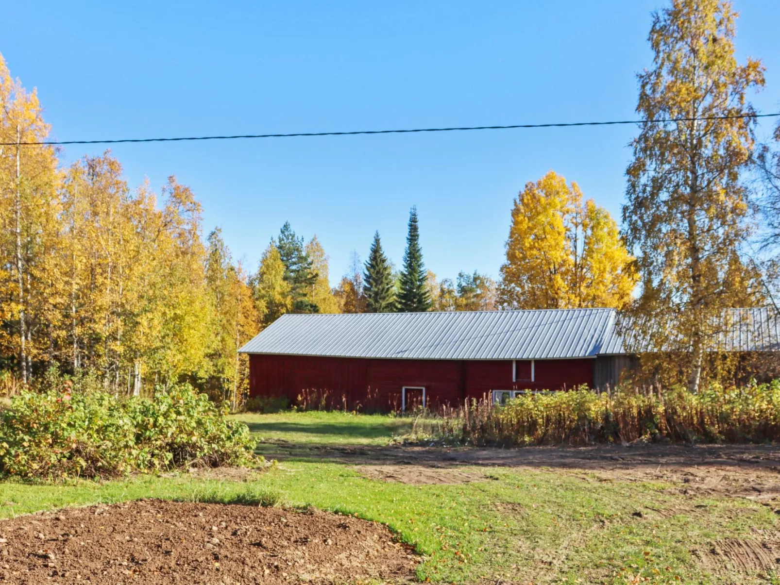 Laattajan hirsipirtti-Inside