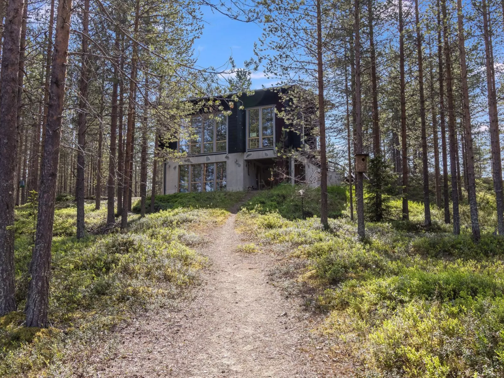 Matkajoentie 4b-Dedans