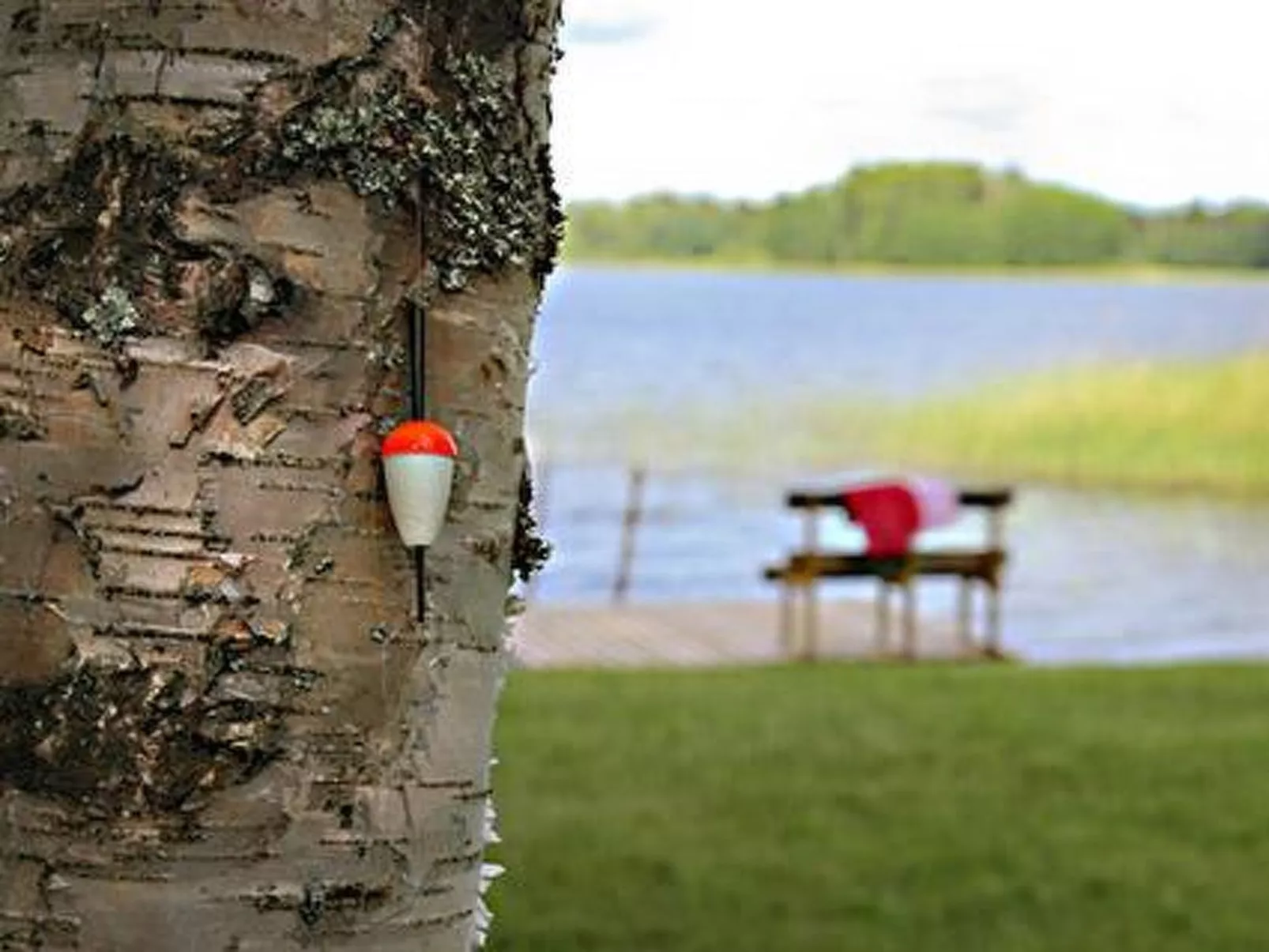 Kopinkallio 2-Dedans