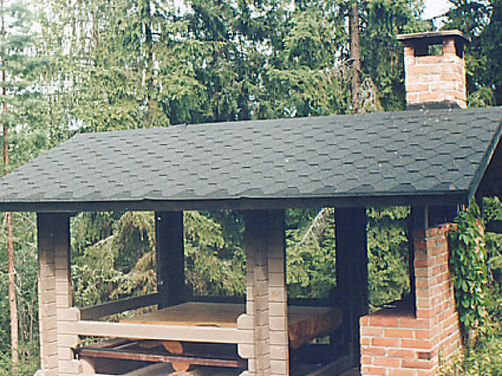 Villa vuorikotka-Drinnen