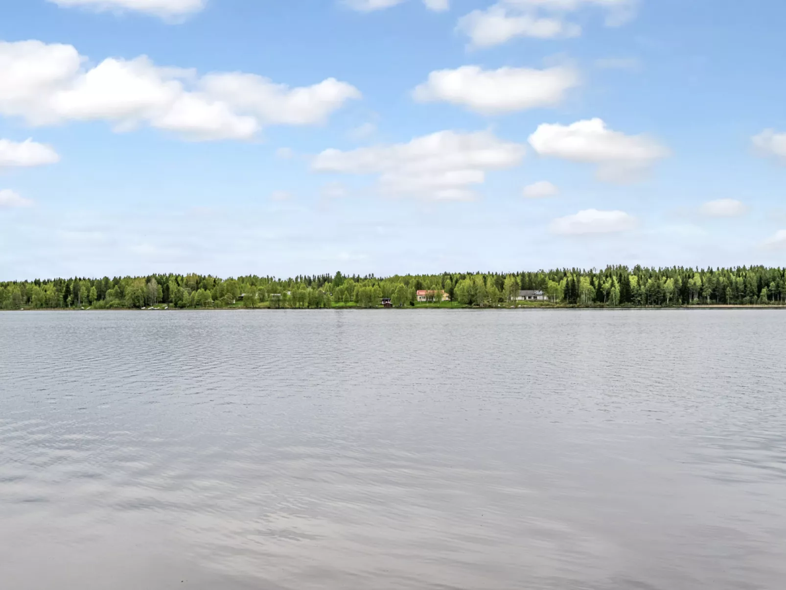 Lumikenttien kutsu-Drinnen