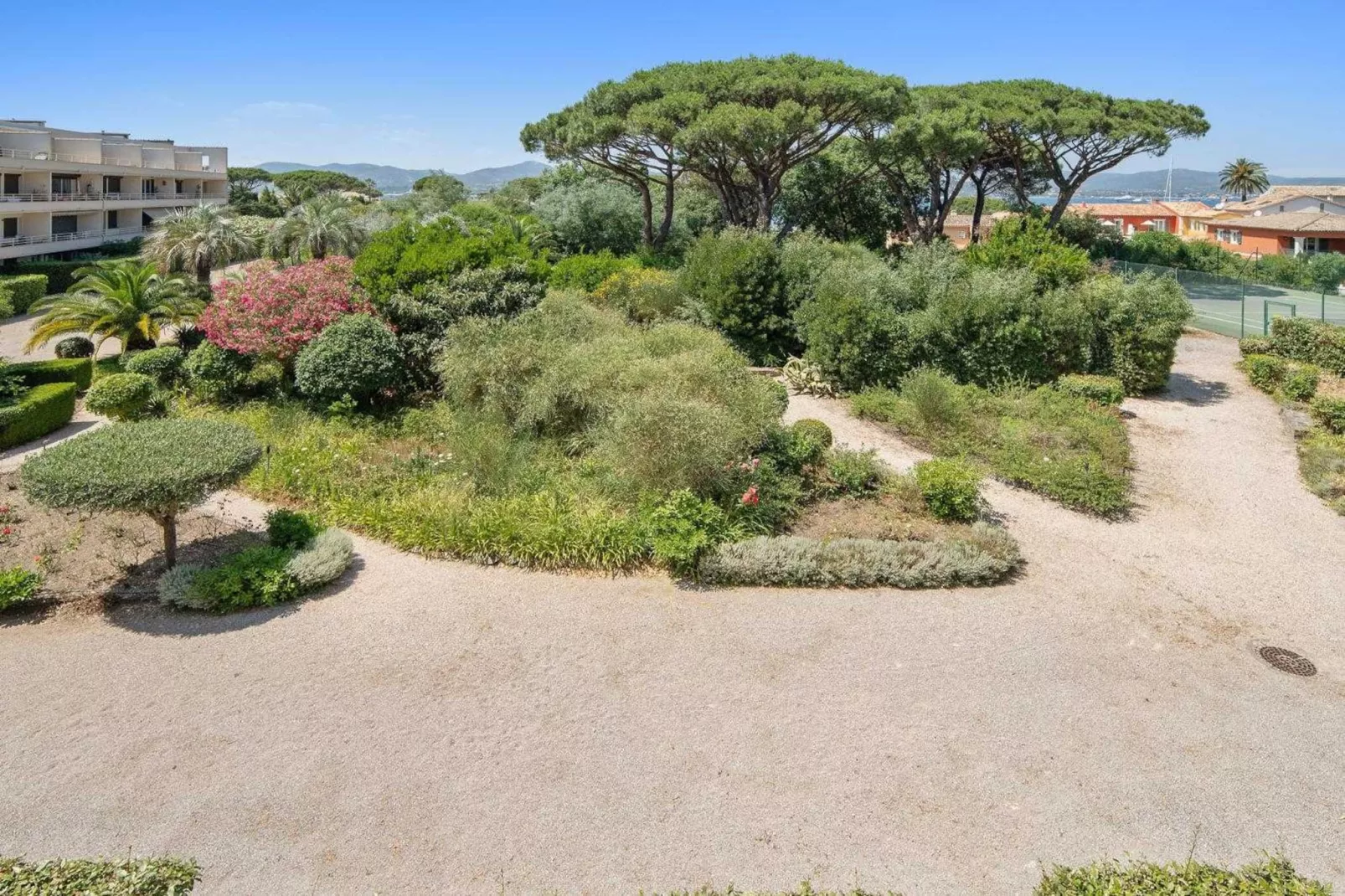 PB-11-COUBERTIN-Non tagué