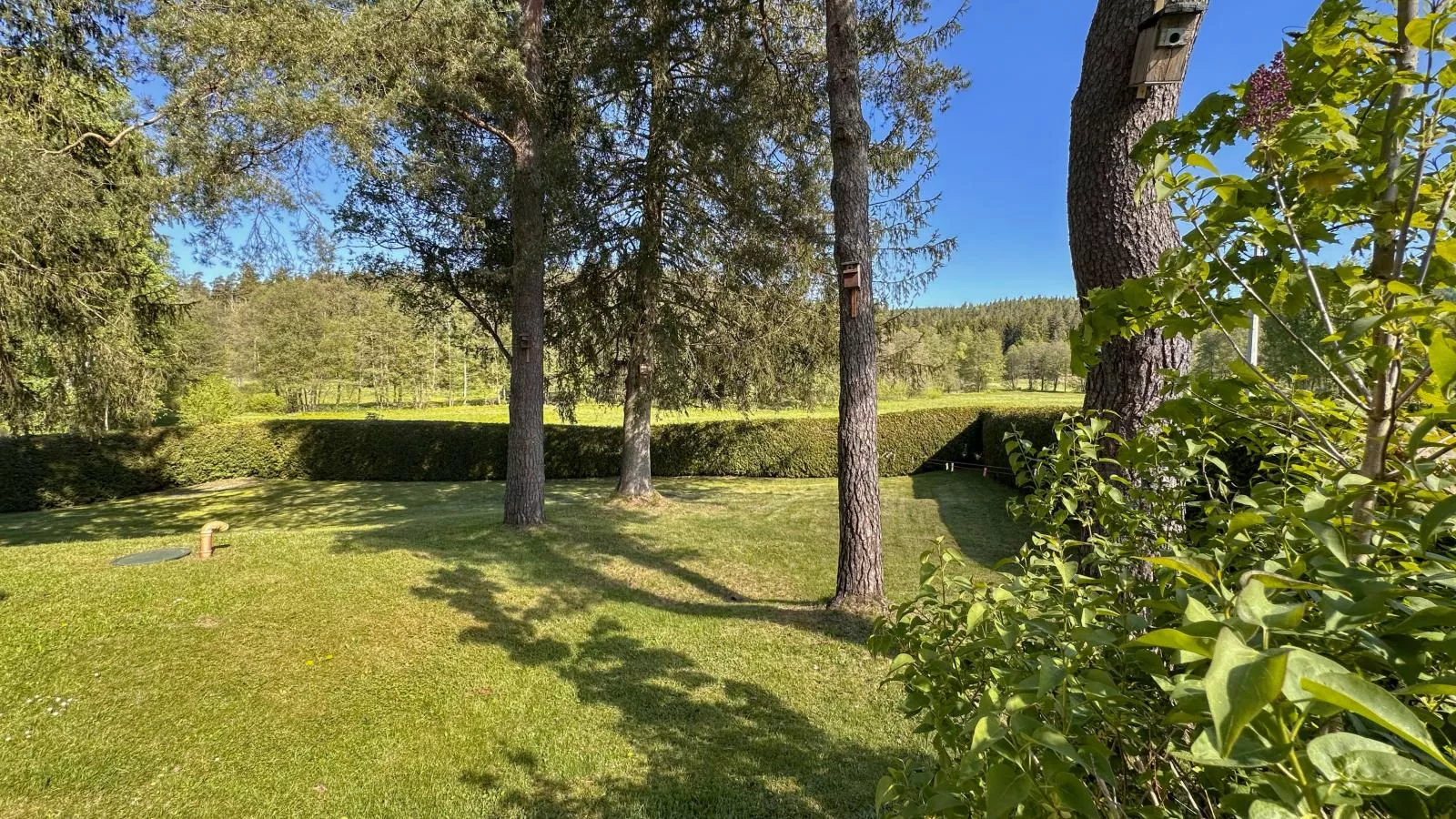 Rehberg Hütte-Gardens in summer