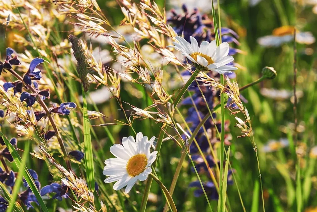 522601-Nicht zugeordnet