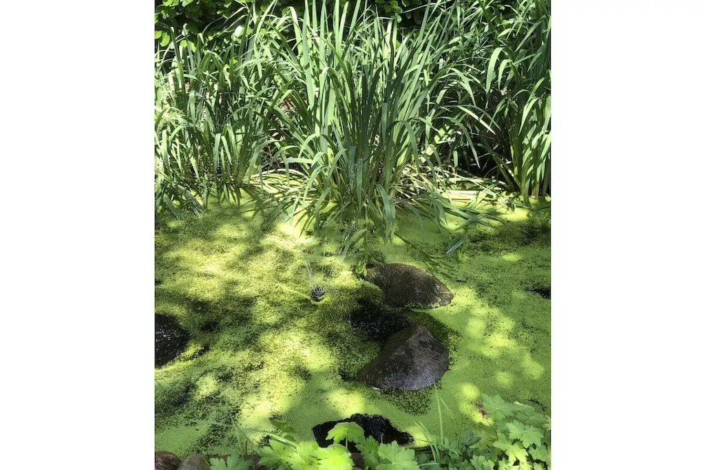 441274-Nicht zugeordnet