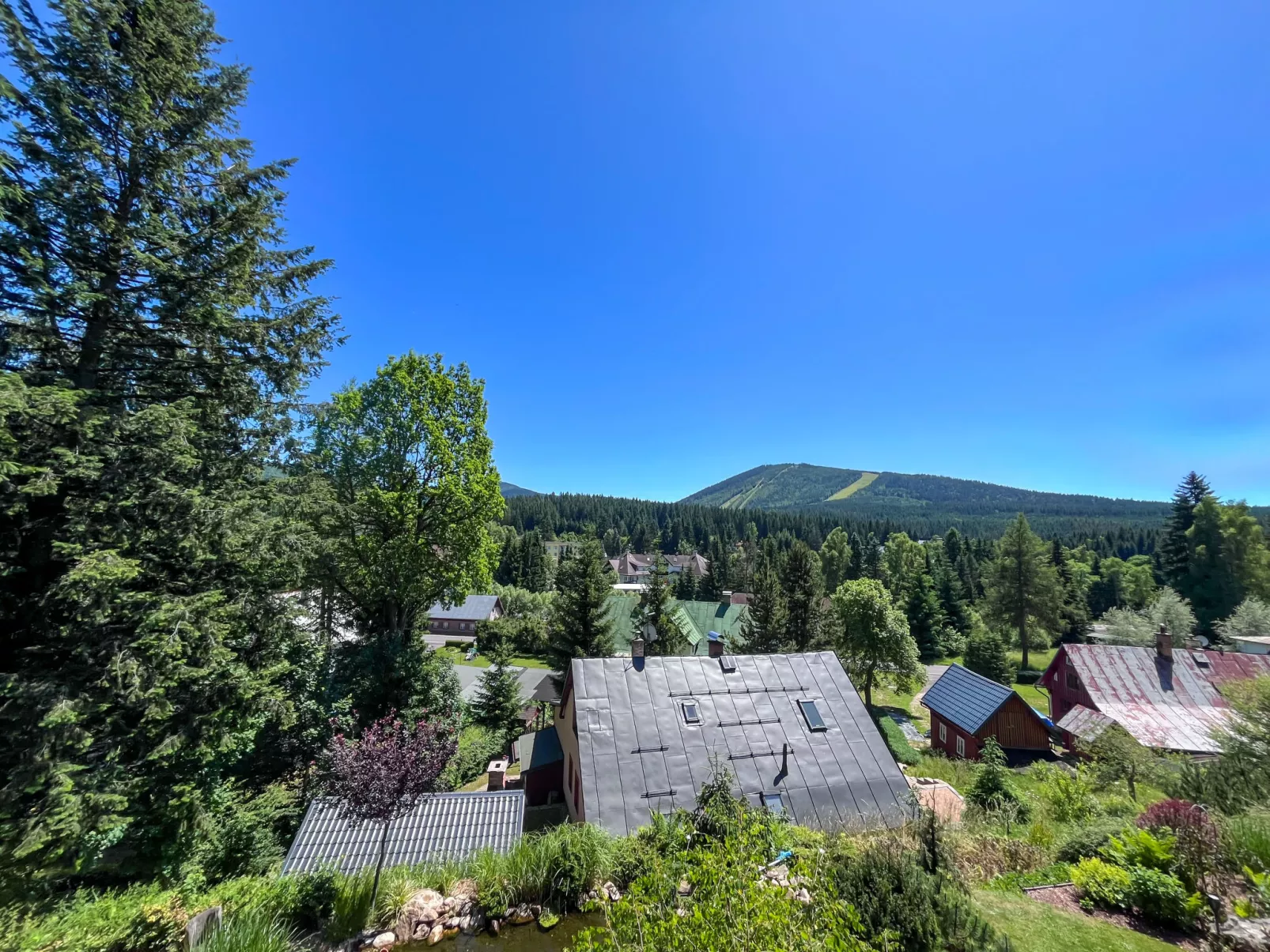 Sachrův Kopec-Dehors