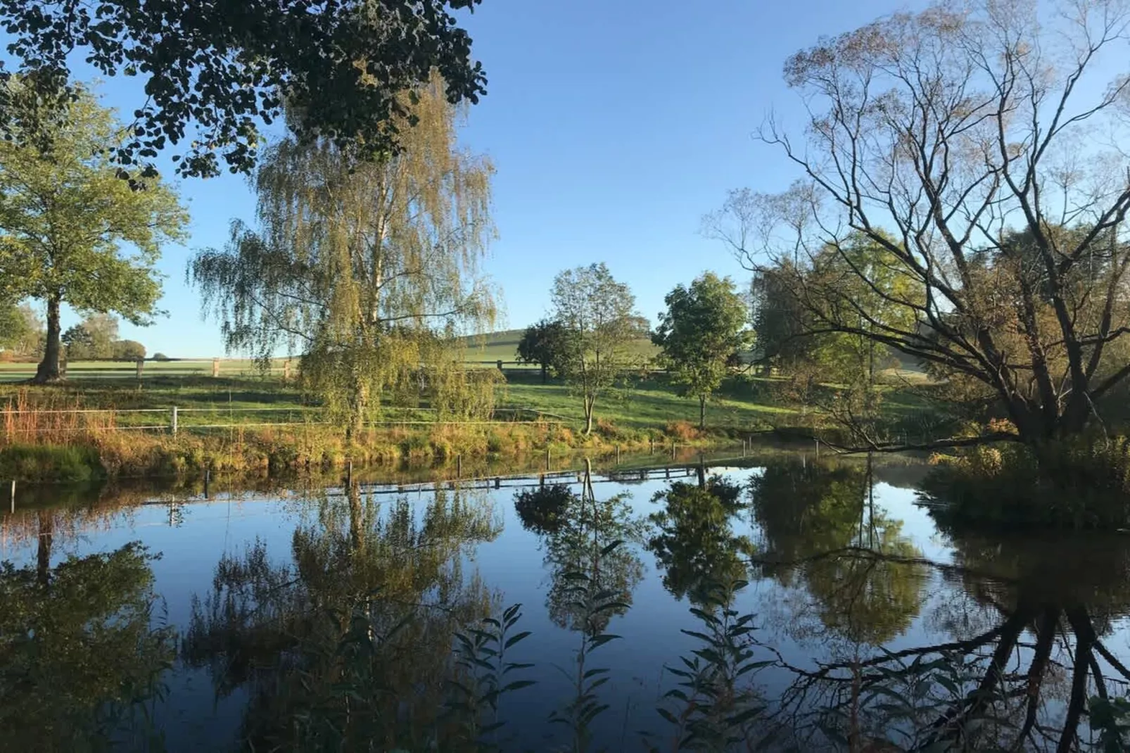 521 Galerie-Non tagué