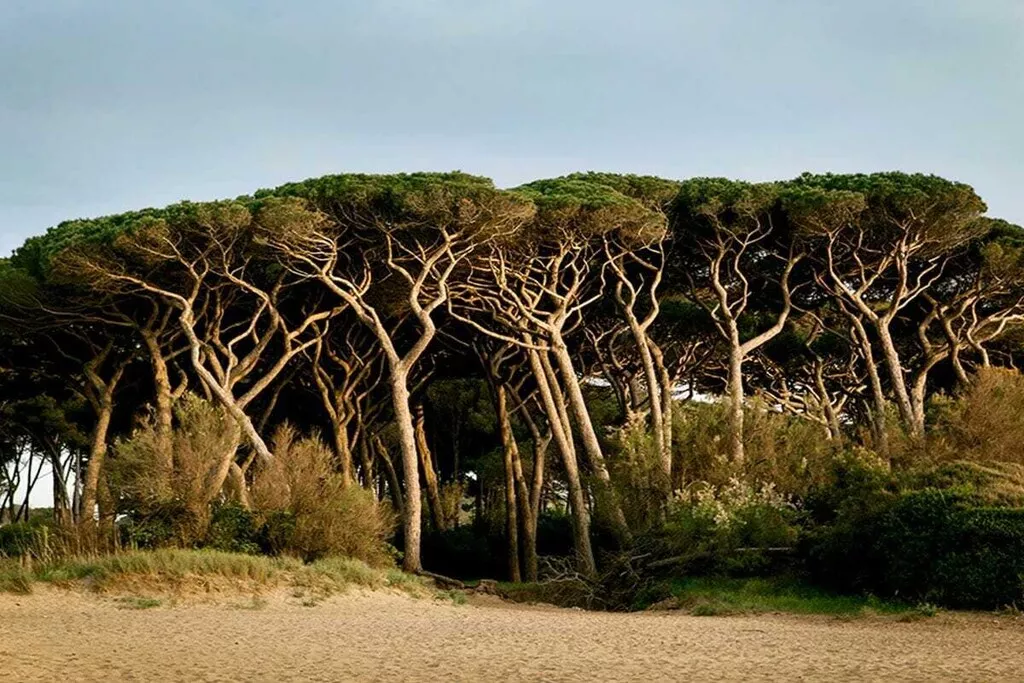 541583-Nicht zugeordnet