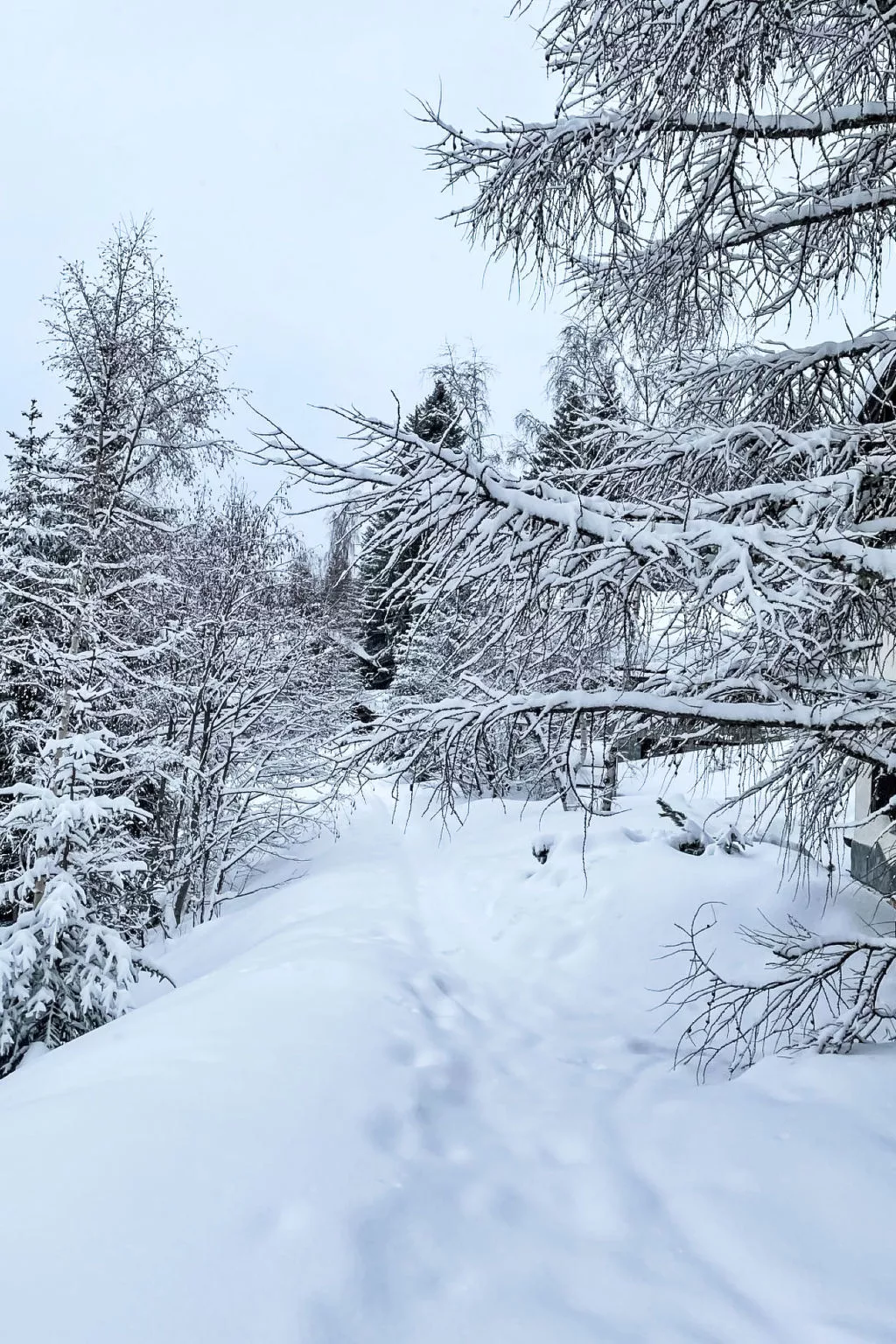 Rodas Soura 5-Draußen