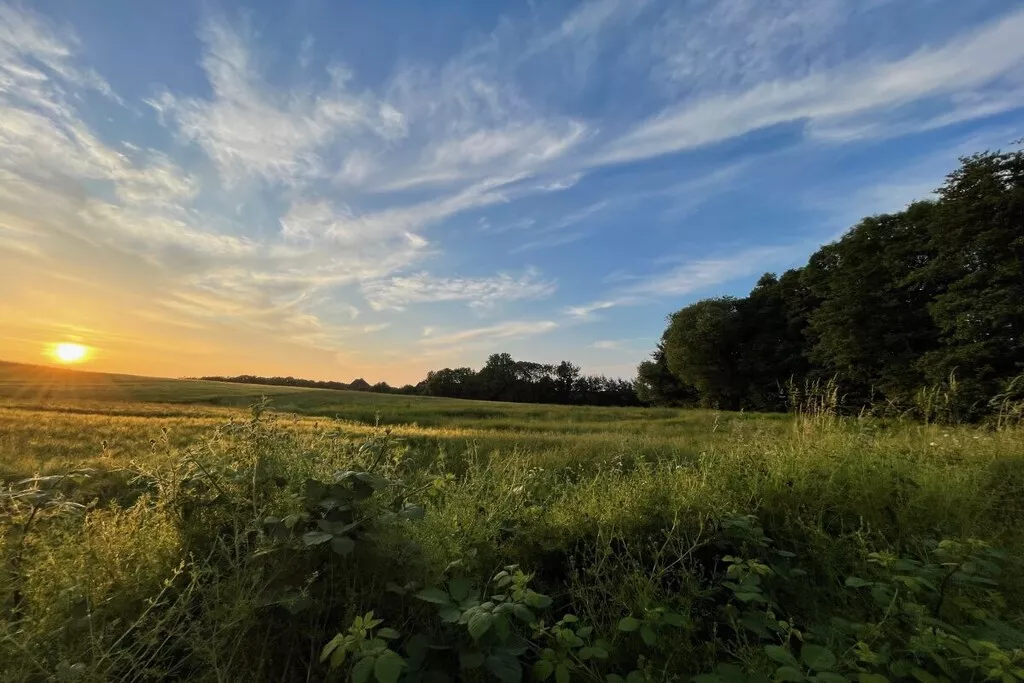 581116-Nicht zugeordnet