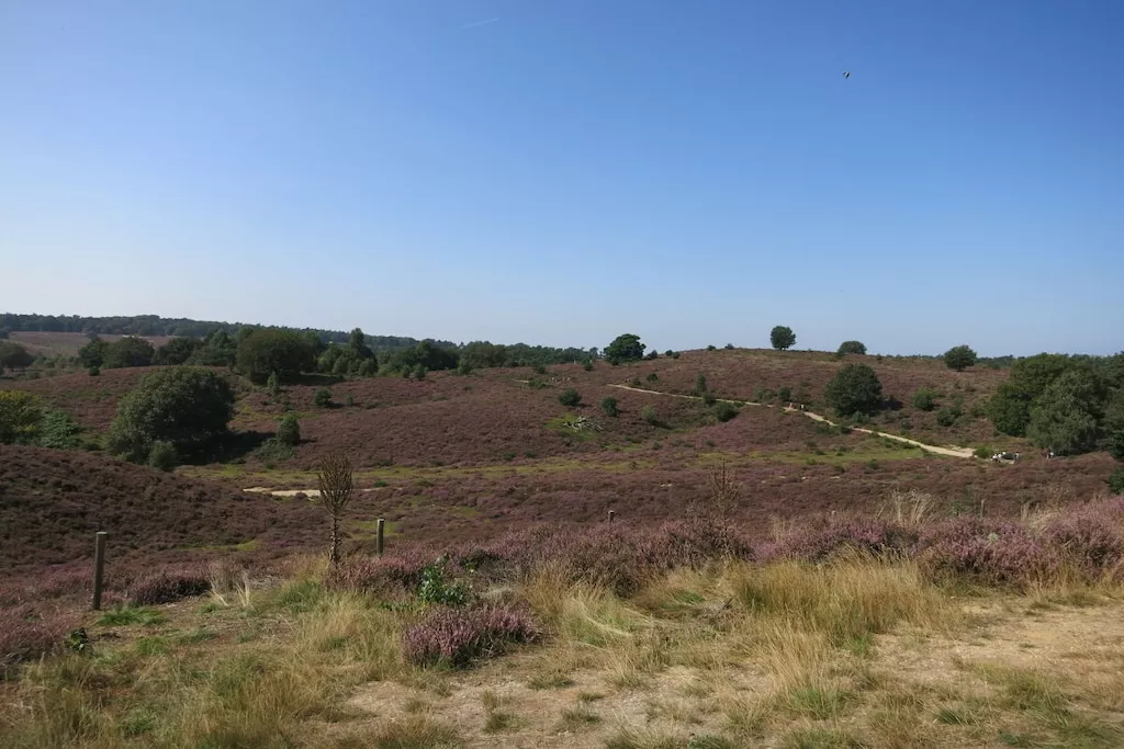 452844-Nicht zugeordnet