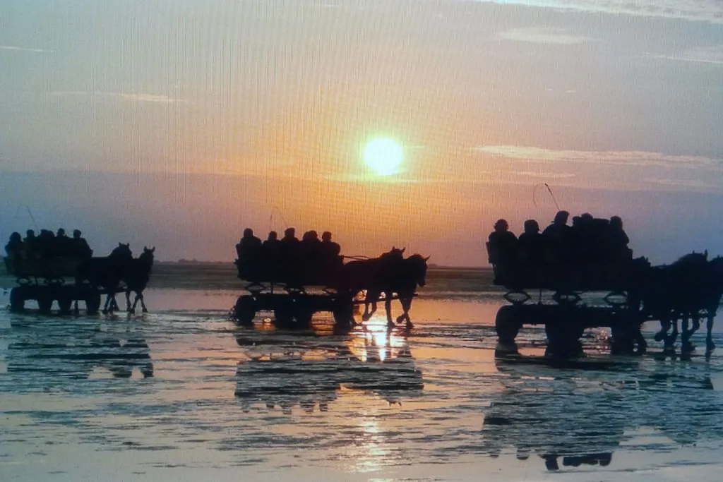 110749-Nicht zugeordnet