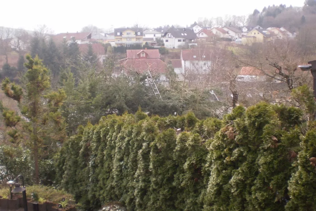 17488-Nicht zugeordnet