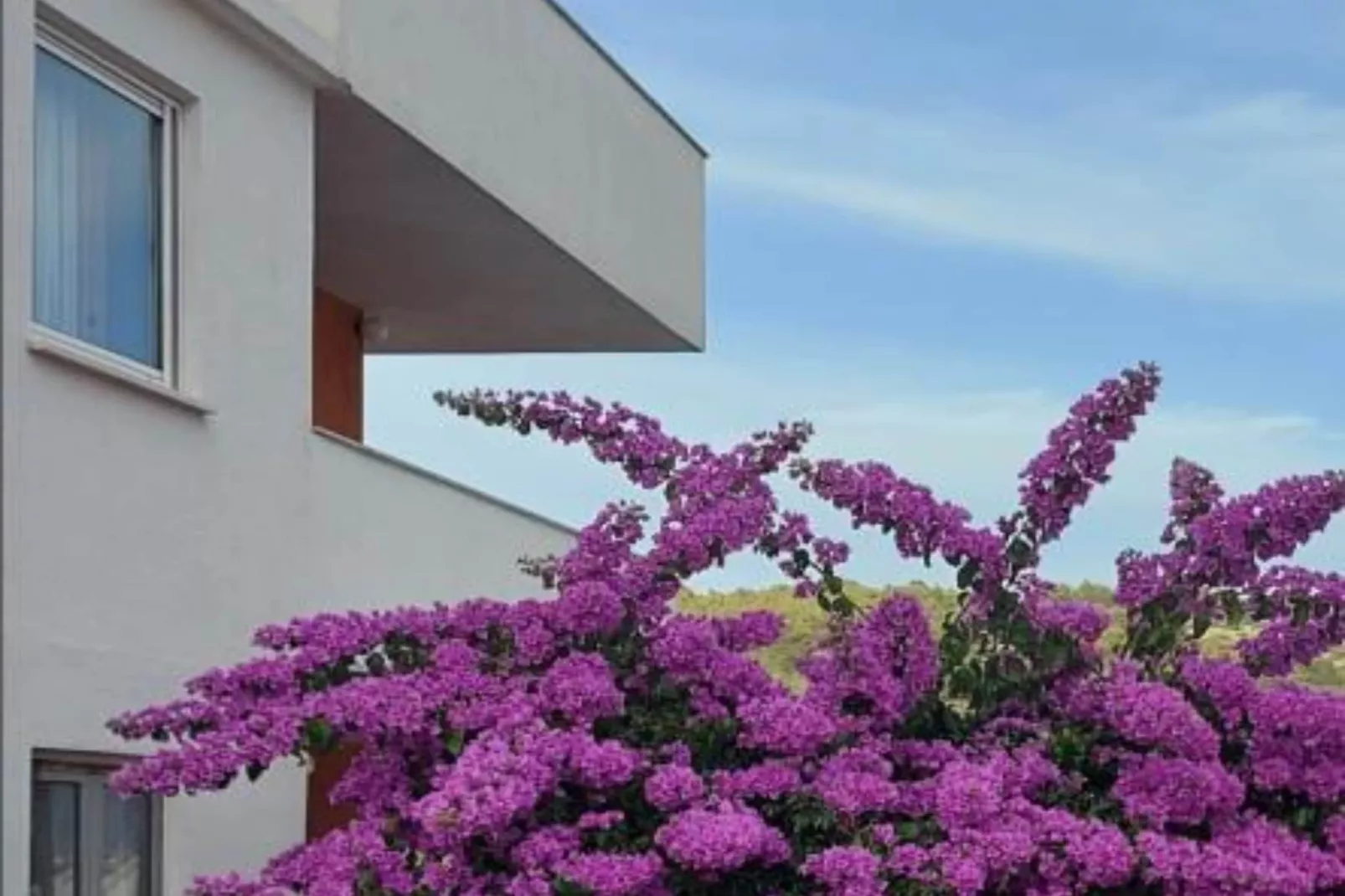 Three-Bedroom Apartment-Outdoor