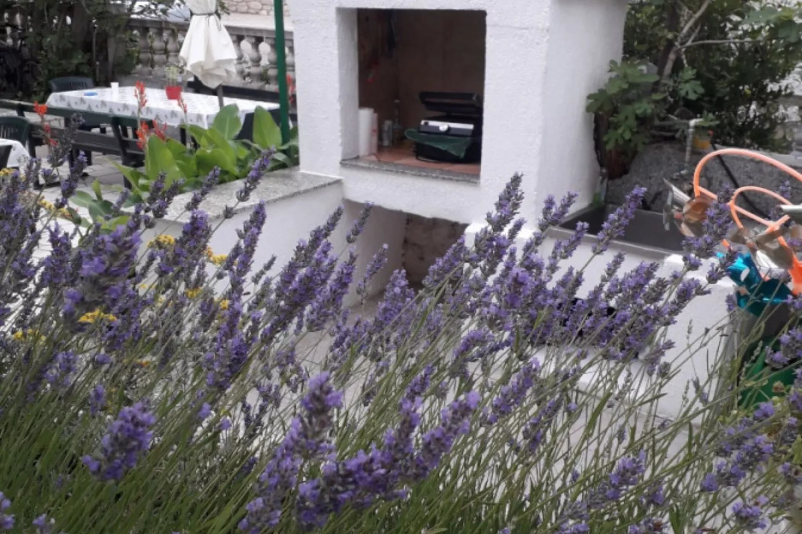 Apartment Daisy-Im Freien