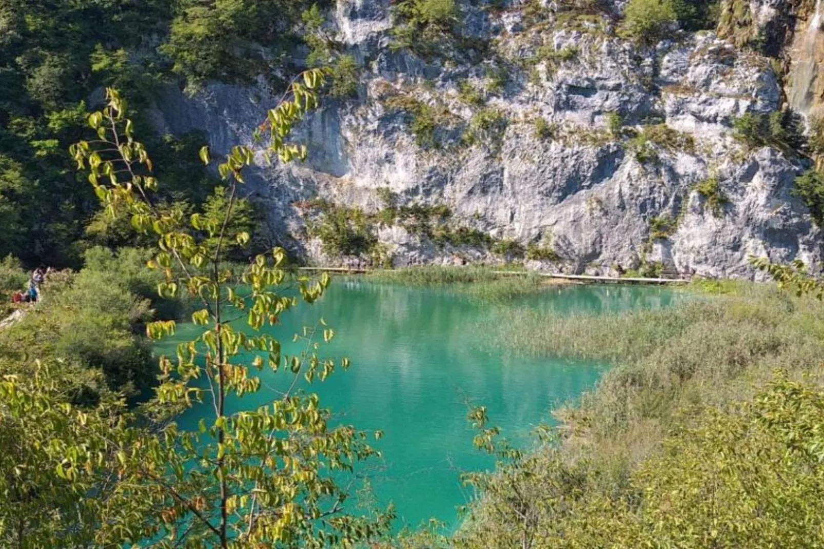 Holiday Apartment Vuković - Three Bedroom Holiday Home With Terrace-Vue